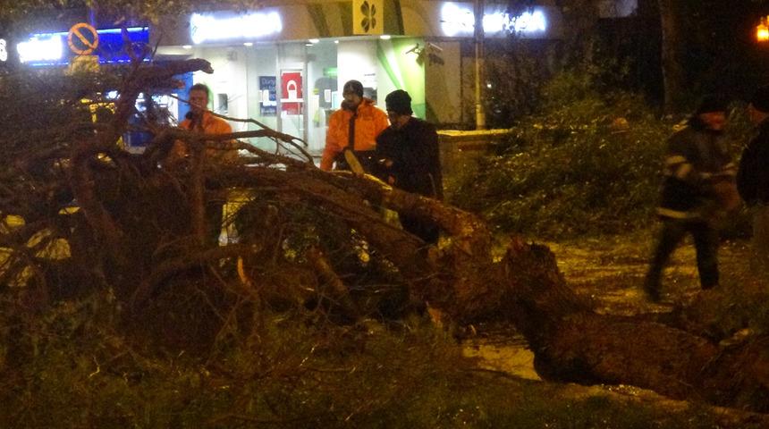 Son Dakika: İzmir'de şiddetli rüzgar! Ağaçlar yerinden söküldü, trafikte aksamalar yaşandı