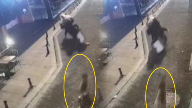 Köpek kovaladı, kurye kaçtı! Dengesini kaybedince...