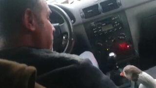 İşe de onunla gidiyor, gezmeye de! Mamoş adlı kazı bir an olsun yalnız bırakmıyor