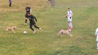 Maçta davetsiz misafir! Sahaya girdi, oyun durdu