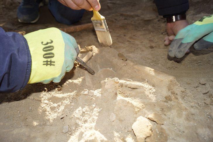 Van'da 10 aydır polisin nöbet tuttuğu bölgede Pers İmparatorluğu'na ait mezar ortaya çıktı G3