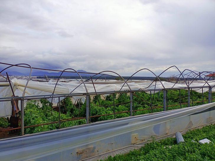 Muğla'da hortum seralarda hasara neden oldu G1