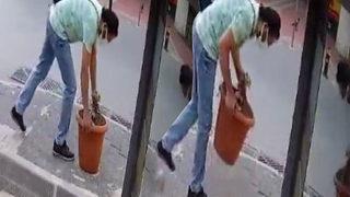 Yaralanma olmasın diye koydu, hırsız her şeyi bırakıp onu çaldı!