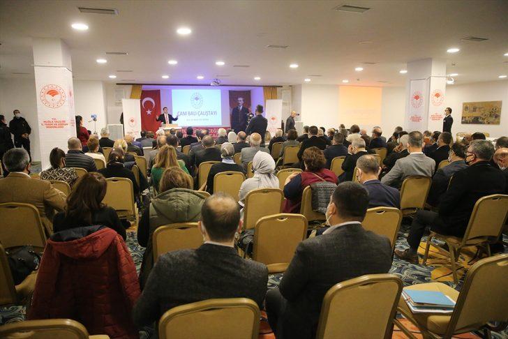 Bodrum'da "Çam Balı Çalıştayı" başladı G1