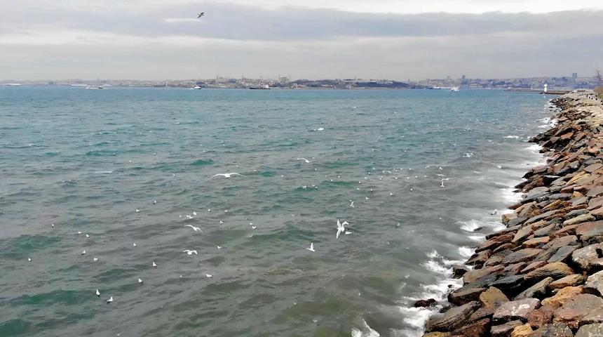 Moda Sahili'nde endişelendiren görüntü! Yoğun koku sonrası renk değişimi