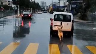 Yer: Mersin! Görüntü tepkilere yol açtı