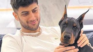 Reynmen köpeğini elinden kaçırınca...  Saldırıya uğrayan kurye şikayetçi oldu