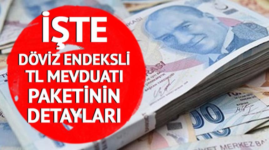 Son dakika haberi: İşte döviz endeksli TL mevduatının ayrıntıları! TL mevduatından kimler faydalanabilecek?