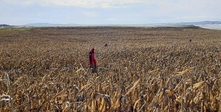 GÜNCELLEME 2 - Eskişehir'de kaybolan çiftçinin cesedi bulundu G4