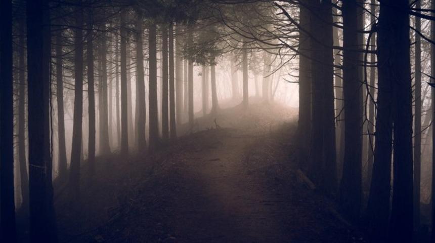 Cesaret isteyen orman! Daha önce defalarca yaşanmış, fotoğraftaki detay herkesi korkuttu