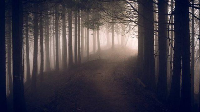 Cesaret isteyen orman! Daha önce defalarca yaşanmış, fotoğraftaki detay herkesi korkuttu