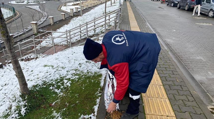 Düzce'de karda yiyecek bulmakta zorlanan sokak hayvanları unutulmadı