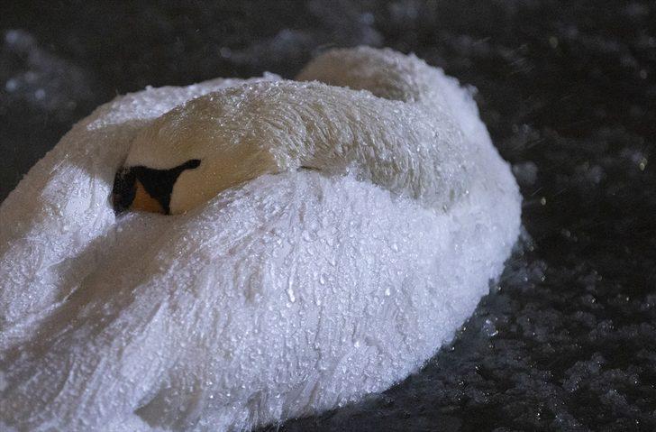 Kar yağışının ardından başkent beyaza büründü G5