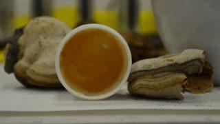 Kav mantarı mucizesi! Kanamaları erken durduran formül bulundu