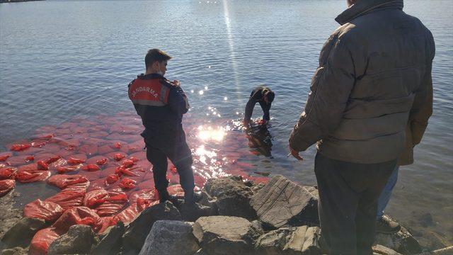 İzmir'de kaçak yakalanan 2 ton canlı midye denize bırakıldı