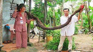 Dünyanın en tuhaf insanı! 50 yıl boyunca saçını hiç kestirmedi