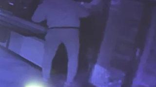 Bir gecede kâbusu yaşattılar! Alkol ve sigara hırsızları yakalandı