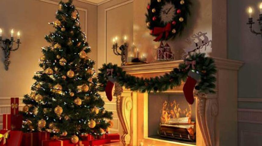 Noel ağacı nereden ve nasıl alınır? Noel (Çam) ağacı ne kadar?