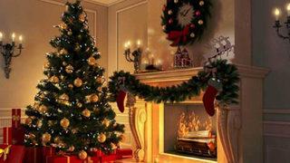 Noel ağacı nereden ve nasıl alınır? Noel (Çam) ağacı ne kadar?