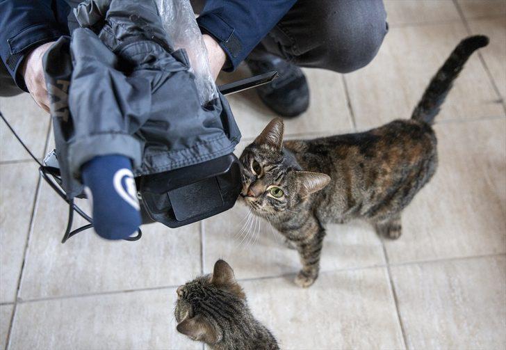 Dondurucu soğukların yaşandığı Erzurum'da sahipsiz hayvanlara "sıcak yuva" imkanı G2