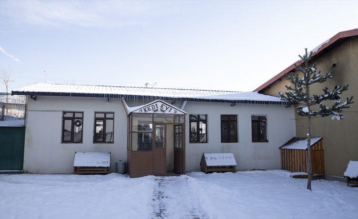 Dondurucu soğukların yaşandığı Erzurum'da sahipsiz hayvanlara "sıcak yuva" imkanı G4