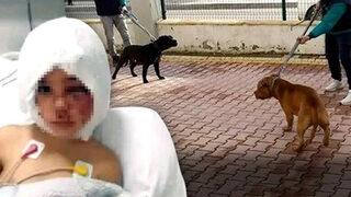 SON DAKİKA | Pitbull saldırısına uğrayan Asiye Ateş olay sonrası ilk kez konuştu! Annesinin yanında doktora söyledikleri duygulandırdı