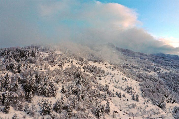 Kastamonu'nun çam ormanlarıyla çevrili Şenpazar ilçesi beyaza büründü G3