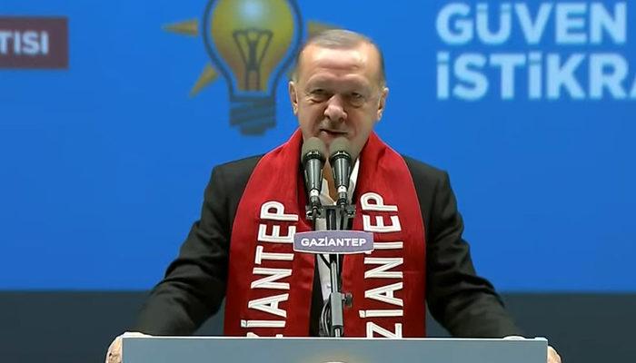 Son dakika: Pitbull saldırısına uğramıştı! Cumhurbaşkanı Erdoğan'dan &quot;Asiye Ateş&quot; mesajı: &quot;Bedelini ödeyeceksiniz&quot;