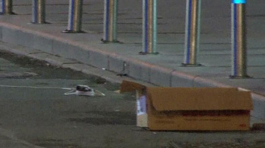 SON DAKİKA | AK Parti binası önüne zaman ayarlı bomba bırakmıştı! Yakalandı