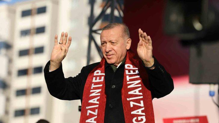Pitbull: Cumhurbaşkanı Erdoğan 'Beyaz Türkler, hayvanlarınıza sahip çıkın' dedi