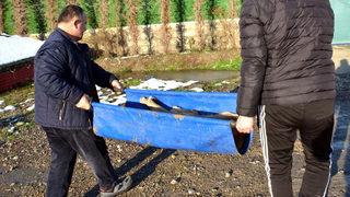 Zonguldak'ta sokak köpeğine işkence! Gözleri dağlanmış halde bulundu