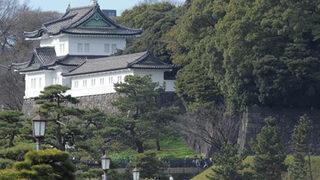 Japonya İmparatorluk Sarayı'na kaçak girdi! Prensesle tanışmak için yapmış