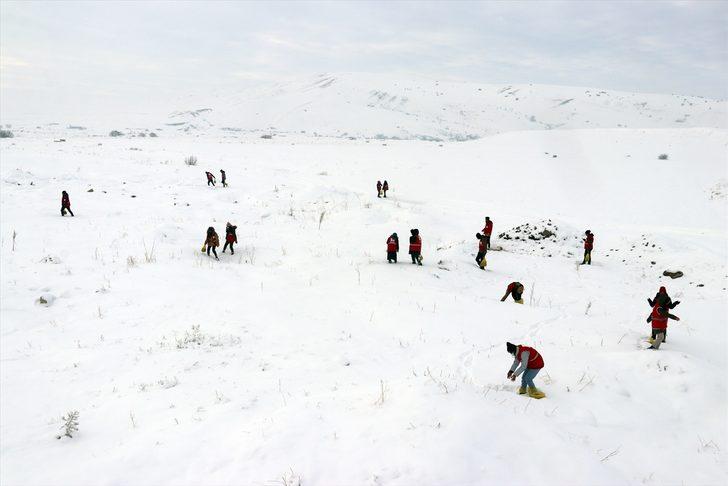 Ağrı'da yaban hayvanları için doğaya yem bırakıldı G1