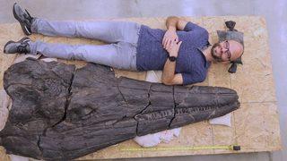 Dünyanın en kurak yerlerinden birinde tarih öncesi döneme ait olan deniz canavarı keşfedildi