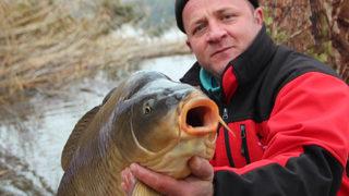 Bilecik’te yakaladı, gören şaşkına döndü! 22 kiloluk dev…