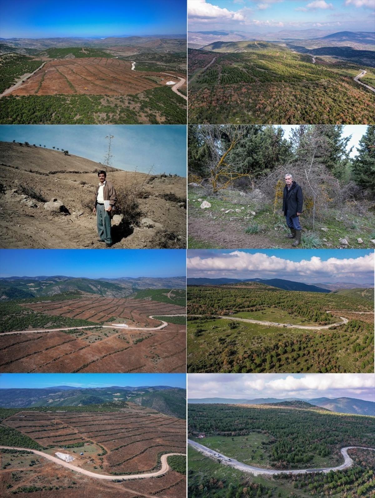 &Ccedil;orak arazinin ormana d&ouml;n&uuml;ş&uuml;m&uuml; emektar memurun 20 yıllık fotoğrafında