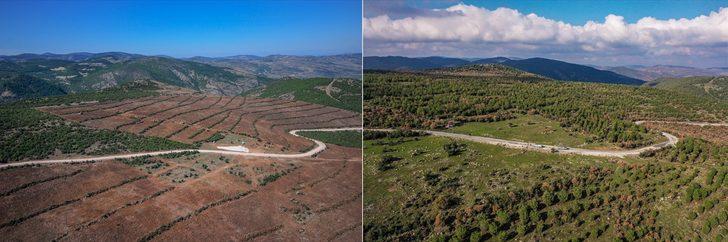 Çorak arazinin ormana dönüşümü emektar memurun 20 yıllık fotoğrafında G3