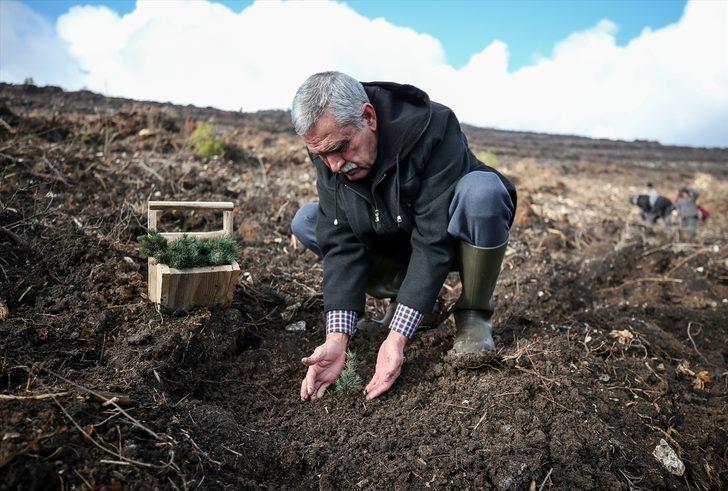 Çorak arazinin ormana dönüşümü emektar memurun 20 yıllık fotoğrafında G4