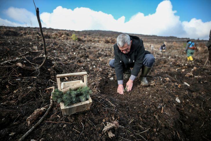 Çorak arazinin ormana dönüşümü emektar memurun 20 yıllık fotoğrafında G5