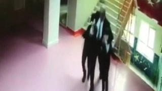 Kadıköy'de tepki çeken görüntü! İlkokul öğrencilerinin kulaklarını çeken okul müdürü hakkında soruşturma