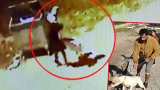 Denizli’deki pitbull saldırısında flaş gelişme! İşte köpeğin sahibinin cezası…