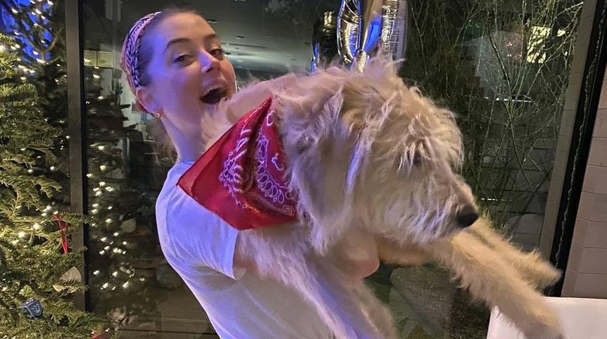 Amber Heard, yeni k&ouml;peğine tartıştığı Avustralyalı siyaset&ccedil;inin ismini verdi