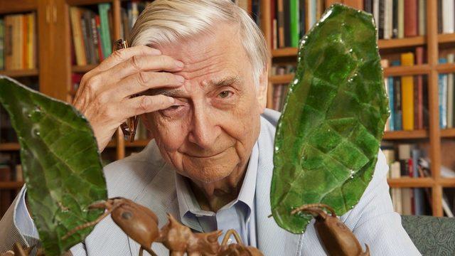 Bilim dünyasının acı kaybı! Darwin'in mirasçısı olarak anılıyordu... Ünlü doğa bilimci Edward Osborne Wilson öldü