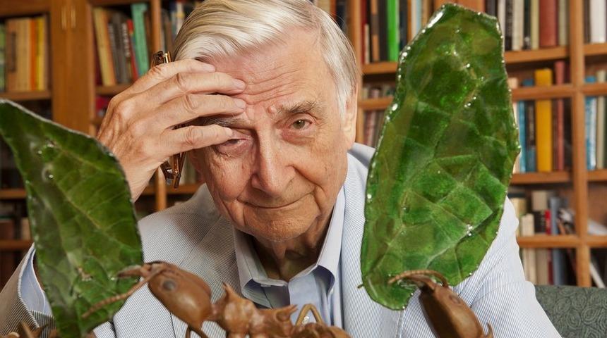 Darwin'in mirasçısı olarak anılan ünlü Amerikalı doğa bilimci E. O. Wilson öldü