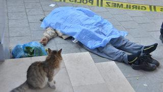 Yürek yakan görüntü! Alışveriş yaparken kalbine yenildi, sokak kedisi başında bekledi