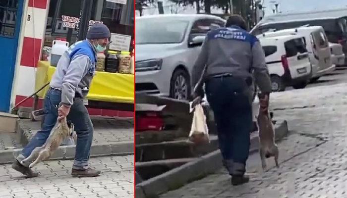 Büyük tepki çekmişti! Yavru köpeği patilerinden tutup taşıyan işçi konuştu…