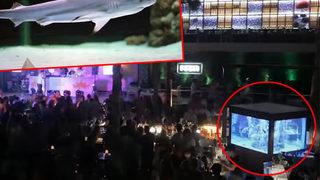 Alanya’daki o köpek balığı kırmızı listede çıktı! Diskotekte skandal görüntü…