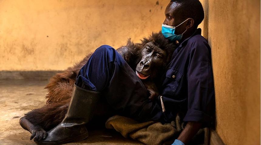 D&uuml;nyanın d&ouml;rt yanından 2021'in &ouml;ne &ccedil;ıkan fotoğrafları