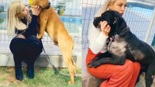 Asiye Ateş’in yaşadığı pitbull saldırısında fotoğraf detayı! Bu pozları ele verdi…