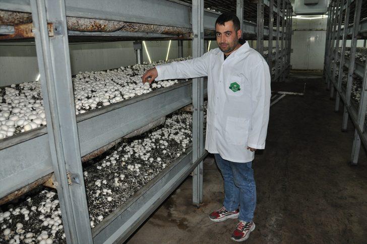Devlet desteğiyle mantar üretim tesisi kuran çiftçi, 20 kişiyi istihdam ediyor G1